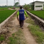 Pekerja yang juga warga setempat saat sibuk menyelesaikan garapan jalan usaha tani (JUT). Foto: HENDRO SUHARTONO/ BANGSAONLINE. 