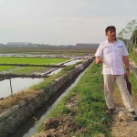 Kepala Cabang Bulog Mojokerto mencakup wilayah Jombang, Rusli (baju putih), saat melakukan peninjauan ke wilayah Sumobito.