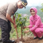 Kapolres Ponorogo AKBP Arief Fitrianto saat penanaman bibit pohon di bukit Dawetan.