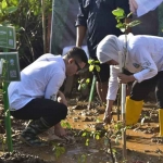 Khofifah dan Arifin saat tanam mangrove di Pancer Cengkrong, Trenggalek.