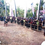 Ritual Ceprotan di Desa Sekar, Kecamatan Donorojo, Pacitan.