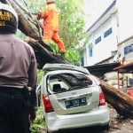 Salah satu mobil saat diparkir di Jalan Sriwijaya tertimpa pohon akibat hujan deras disertai angin kencang. foto: ARIF KURNIAWAN/ BANGSAONLINE