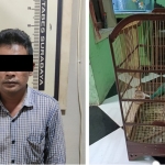 Tersangka saat diamankan di Mapolsek Asemrowo. Foto kanan, burung cucak ijo yang dicuri.