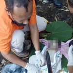 Petugas sedang proses evakuasi si jabang bayi. foto: ist.