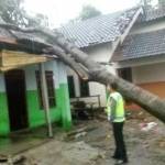 Salah satu rumah di Kecamatan Ponggok tertimpa pohon setelah dihempas angin puting beliung.