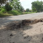 Salah satu titik jalan tampak rusak dan bergelombang. Kondisi jalan seperti ini sangat membahayakan, terutama bagi roda dua.