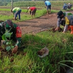 Penanaman pohon di Desa Jogorogo, Kecamatan Jogorogo, Kamis (18/11).