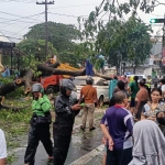 Pohon tumbang di Jl. Nginden yang menimpa mobil.