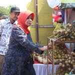 Bupati Kediri Haryanti Sutrisno saat melihat buah-buah lokal yang dijual di kawasan Gunung Kelud Kediri. 