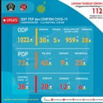 Data sebaran kasus Covid-19 Kabupaten Blitar.