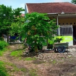 Rumah Moch Samsul Huda yang terisolir. foto: ist.