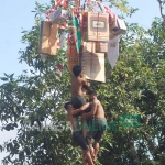 Lomba panjat pinang di pelataran pendopo Trenggalek. foto: Herman Subagyo/ BANGSAONLINE