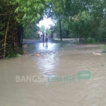 Genangan air yang terjadi di salah satu desa.