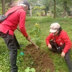 Kegiatan tanam pohon di kawasan Wisata Mapahan Desa Senden, Kecamatan Kampak, Trenggalek. foto: HERMAN/ BANGSAONLINE