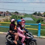 Sarat tanaman air. Tumbuhan eceng gondok, kangkung dan teratai menghijau di Kali Sadar sejauh mata memandang. foto: YUDI EP/ BANGSAONLINE