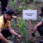 Kapolres Kediri Kota AKBP Miko Indrayana saat melakukan penanaman pohon. foto: MUJI HARJITA/ BANGSAONLINE.com