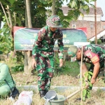 Dandim 0816 Sidoarjo, Letkol Inf Guntung Dwi Prasetyo bersama Ketua Persit KCK Cabang XLIII Dim 0816, Nia Gunung saat melakukan penanaman padi dan bibit padi di Desa Penambangan, Kecamatan Balongbendo, Kamis (9/5/2024).