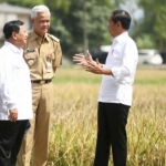 Presiden Joko Widodo sedang berbincang di tengah sawah dengan Prabowo Subianto dan Ganjar Pranowo. Foto: istimewa