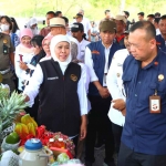 Gubernur Khofifah saat meninjau inovasi pertanian di Ngawi.