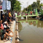 Kegiatan mancing mania digelar pada hari Minggu (14/10/2018) pukul 07.30 wib.