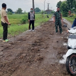 Camat Balongpanggang, M Amri Maulana, bersama Forkopimcam saat meninjau mengecek JPD Wotansari yang rusak disapu banjir Kali Lamong. Foto: SYUHUD/BANGSAONLINE