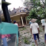 Salah satu rumah di Desa Dawuhan yang tertimpa pohon. foto: HERMAN/ BANGSAONLINE