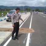 Kanit laka-lantas Polres Pacitan, Aiptu Sugeng Rusli saat melakukan olah TKP. Foto: IST