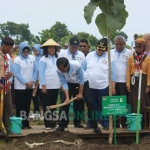 Presiden Jokowi mengawali penanaman pohon di lahan Perhutani. foto: SUWANDI/ BANGSAONLINE