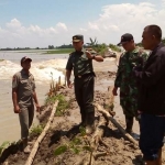 Dandim 0813 Bojonegoro saat memantau tanggul kali apur ingas di Desa Pucangarum yang jebol. foto: EKY NURHADI/ BANGSAONLINE