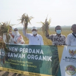 Ketua Baznas Jatim bersama Kepala Desa Gedangrowo dan Ketua Yayasan Tunas Bangsa saat panen perdana sawah organik di Desa Gedangrowo, Prambon, Sidoarjo. foto: Dok. Baznas Jatim