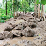 Kondisi jalan desa yang rusak karena bebatuan yang terbawa banjir (foto: Supardi)