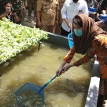 Ketua Forikan Jatim Arumi Bachsin, bersama Bupati Nganjuk Novi Rahman Hidayat, dan Ketua Gemarikan Nganjuk Yuni Sophia, saat panen ikan di kolam Desa Kedung Rejo. foto: BAMBANG/ BANGSAONLINE