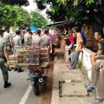 Satpol PP saat mendatangi pedagang burung di jalan RE Martadinata. foto: suwandi/ BANGSAONLINE