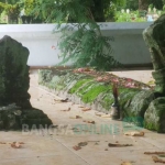 Makam Ki Ageng Menak Sopal dan Dewi Amis Rara Wati di Kelurahan Ngantru, Trenggalek. foto: HERMAN/ BANGSAONLINE