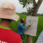 Sekolah Lapangan Pertanian, program yang digelar oleh EMCL di Kecamatan Gayam, Kabupaten Bojonegoro.