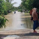 
Kondisi Desa Kedungrukem, Kecamatan Benjeng yang terendam. Foto: ist.