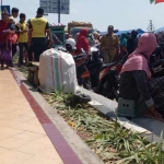 Kondisi taman di pinggir jalan usai terinjak-injak pengunjung.