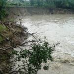 LONGSOR: Tebing Kaligandong di Desa/Kecamatan Purwosari, Kabupaten Bojonegoro, longsor. Puluhan rumah di dekat longsoran terancam terseret ke dalam sungai. Foto: Eky Nurhadi/BangsaOnline.com