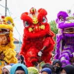 Kesenian Barongsai turut memeriahkan Kirab Kebhinnekaan Kelurahan Ngampel. foto: ist.