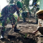 PENGHIJAUAN: Penanaman 1.000 pohon kurma di Markas Gupusjat II dalam rangka HUT ke-74 Palad, Jumat (10/7). foto: MUSTAIN/ BANGSAONLINE