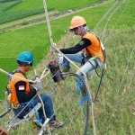 Para pekerja sedang melakukan rekonduktoring. (foto: ist)