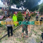 Pohon beringin yang ambruk di Alun-Alun Kota Blitar akibat hujan deras disertai angin. Foto: AKINA NUR ALANA/BANGSAONLINE