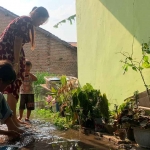 Warga Desa/Kecamatan Ajung, Jember, ketika membasahi tanah di sekitar sumur saat kemarau panjang tahun ini.