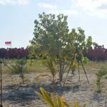 Suasana upacara HUT RI di pulau Noko, Bawean. foto: SYUHUD/ BANGSAONLINE