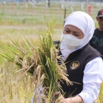 Gubernur Jawa Timur, Khofifah Indar Parawansa.