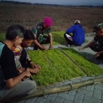 Aktivitas sekitar gudang penyimpanan tembakau di Desa Rayung, Kecamatan Senori, Tuban.