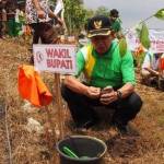 Wakil Bupati Tuban, Ir Noor Nahar Husein saat menanam pohon buah sirsak di Gunung Rengit, Desa Ngrejeng, Kecamatan Grabagan, Tuban. foto: suwandi/ BANGSAONLINE