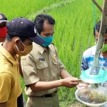 Mohamad Sholeh Nugroho, PPL (Petugas Penyuluh Lapangan) Dinas Pertanian Kabupaten Kediri di Kecamatan Semen saat menjelaskan cara kerja alat pembunuh serangga. foto: MUJI HARJITA/ BANGSAONLINE