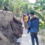 Kondisi tanggul sungai Bengawan Solo di Desa Padang Bandung, Kecamatan Dukun yang ambles. foto: ist.