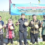 Bupati Yuhronur dan Wabup Abdul Rouf didampingi Kadin Pertanian Sukriyah dan Camat Sugio, Sujirman saat panen raya buah melon.